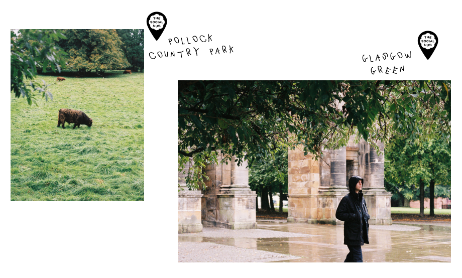 collage of images, a cow in a meadow and a guy walking through the streets of Glasgow in the rain.